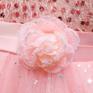 Baby Girl Sequins Patched Pattern Floral Tutu Princess Starry Sky - Image 16