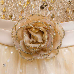 Baby Girl Sequins Patched Pattern Floral Tutu Princess Starry Sky - Image 22